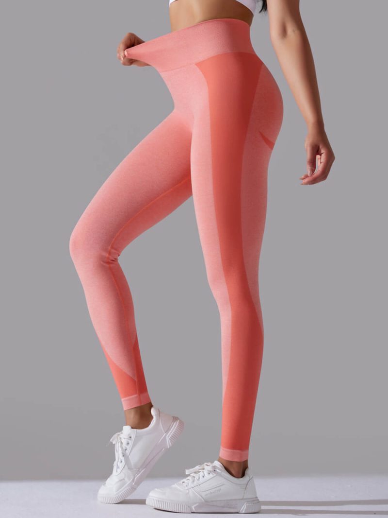 ‘Charlotte’ High Waisted Seamless Leggings